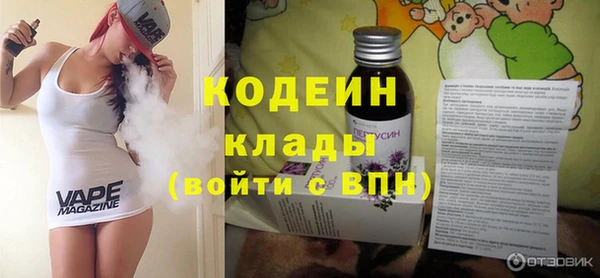 сатива Каменка
