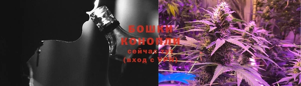 сатива Каменка