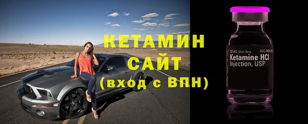 сатива Каменка