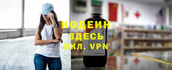 сатива Каменка