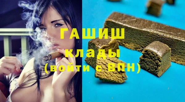 сатива Каменка