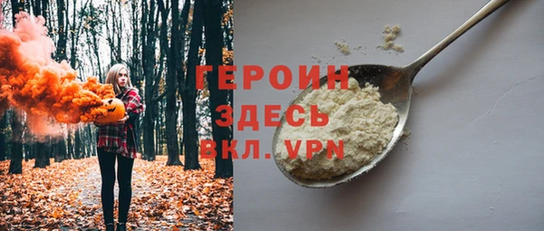 сатива Каменка