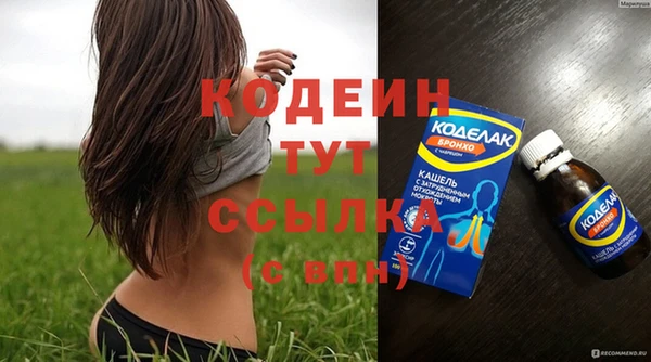 сатива Каменка