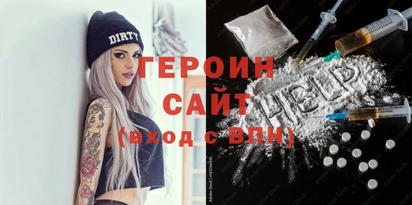 сатива Каменка
