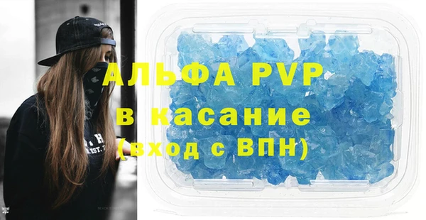 сатива Каменка