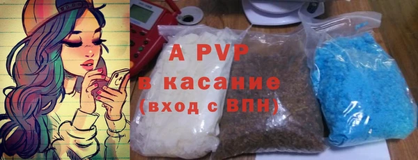 ECSTASY Каменногорск