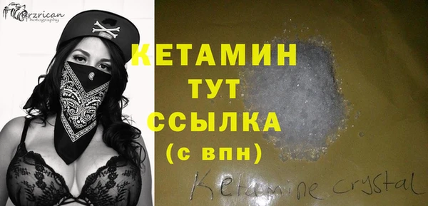 сатива Каменка
