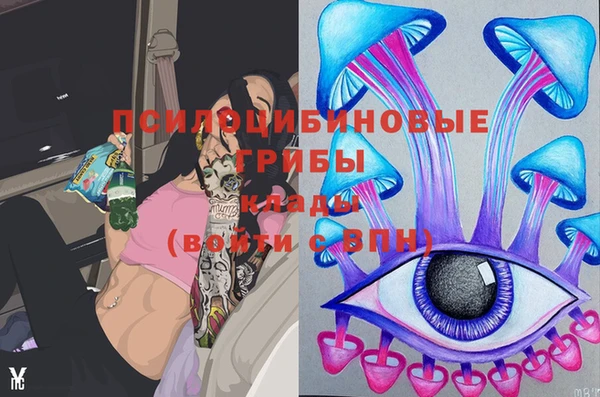 ECSTASY Каменногорск