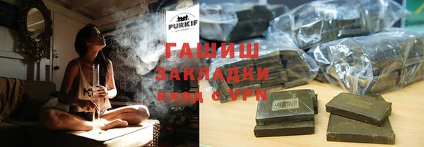 сатива Каменка